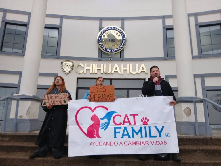 FB_IMG_1772116913856