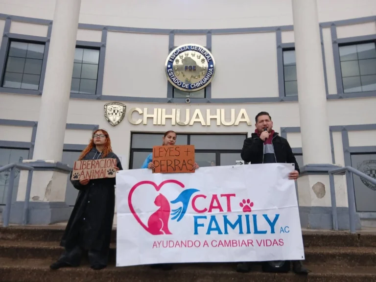 FB_IMG_1772116913856