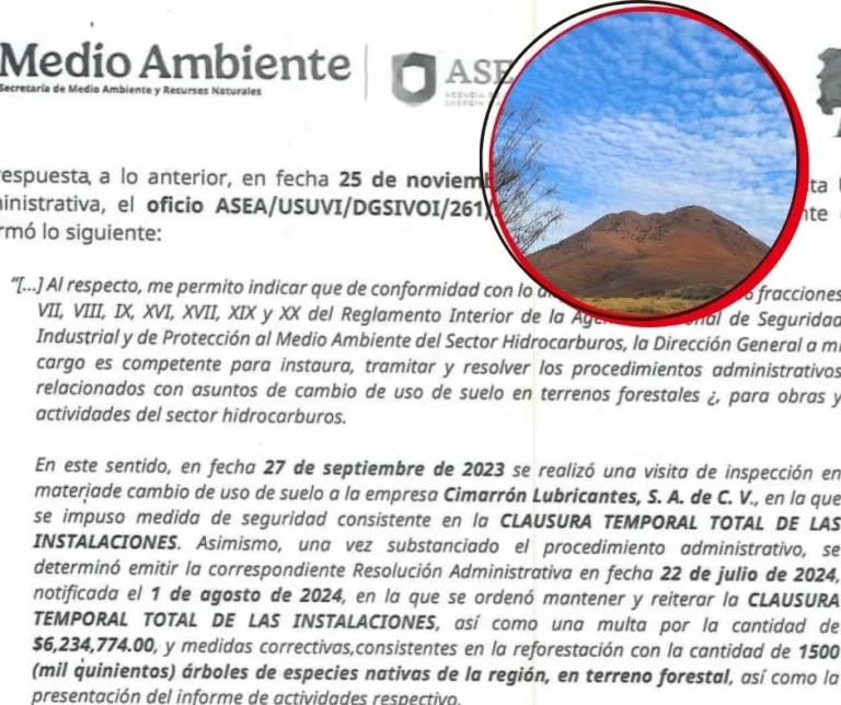 Medio ambiente