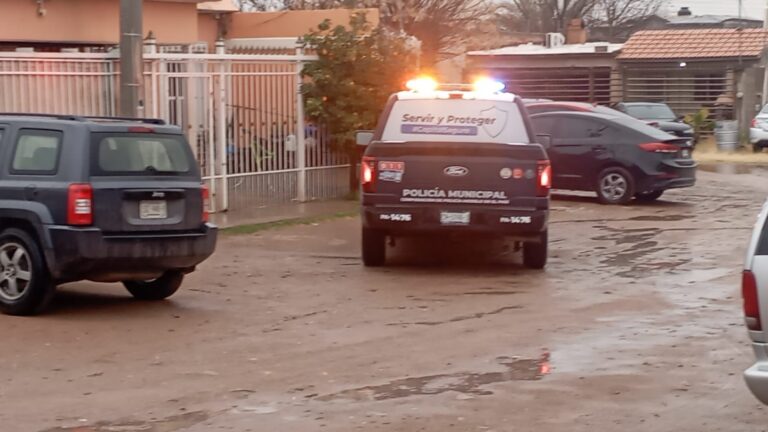 a56c58fb-747e-4375-a2a3-021e61feeb24