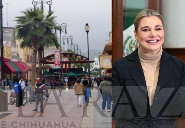 b3393b40-972a-4707-8c76-e4428afb5609