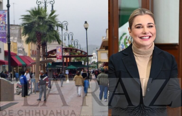 b3393b40-972a-4707-8c76-e4428afb5609