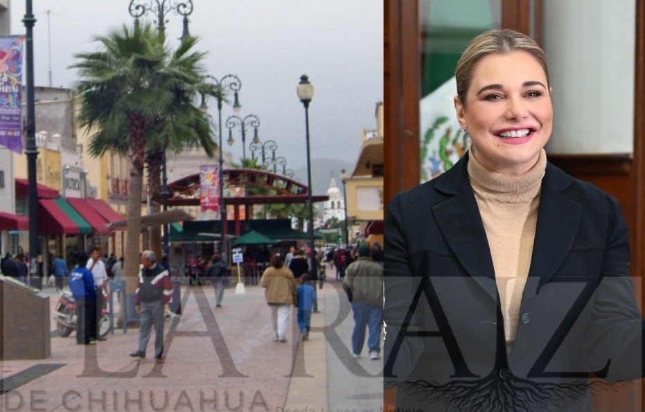 b3393b40-972a-4707-8c76-e4428afb5609