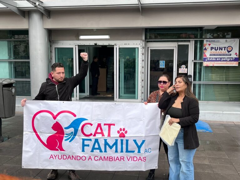 c9a7fc9c-654e-4469-8734-026808cbac2c