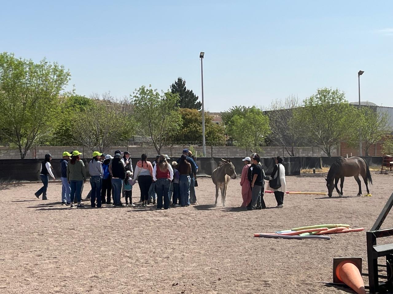 011ae78b-0093-4f51-beed-d54695d3c59e