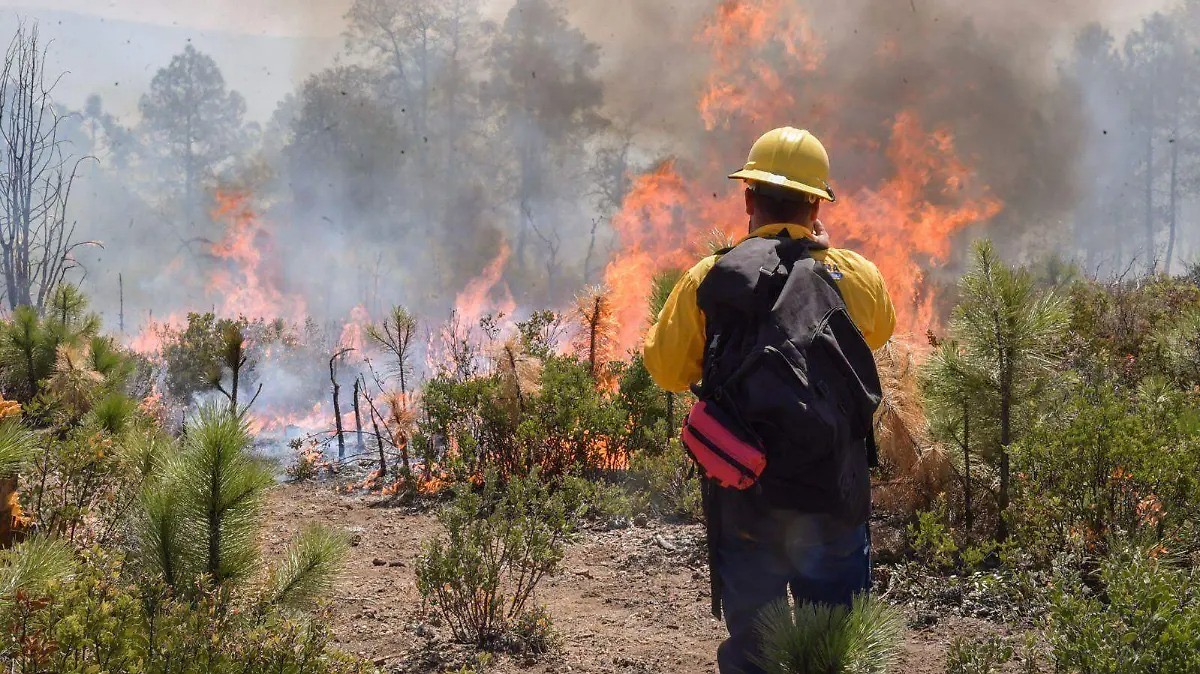 0a7d5673-e5f2-4b15-9ad8-ba17763df9f0