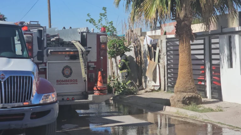 141ef3fa-5ea2-49e0-bd94-5b9f85482cd4