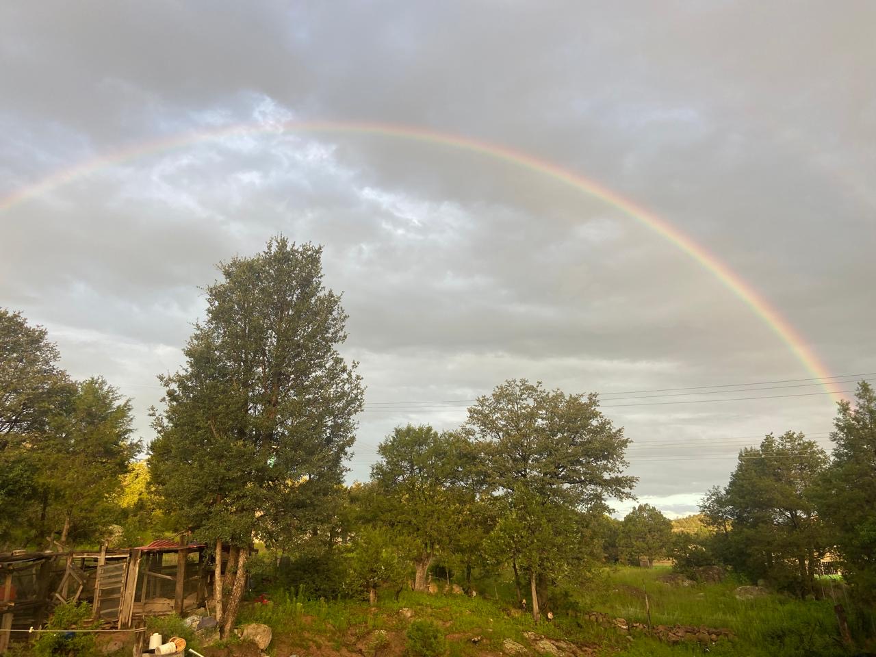 22939d2a-5dff-41e1-858c-3a9e95898001