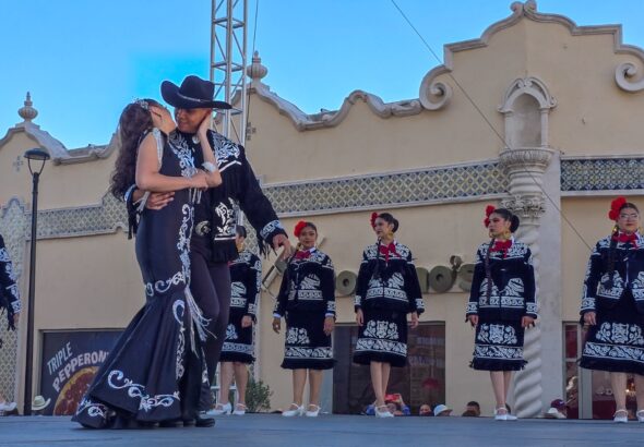 239eda72-4af6-4cf1-99f4-c7310f716759