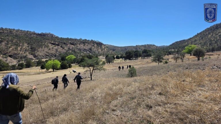 3f42654c-7c45-4d0f-b74e-137d730e5cf9