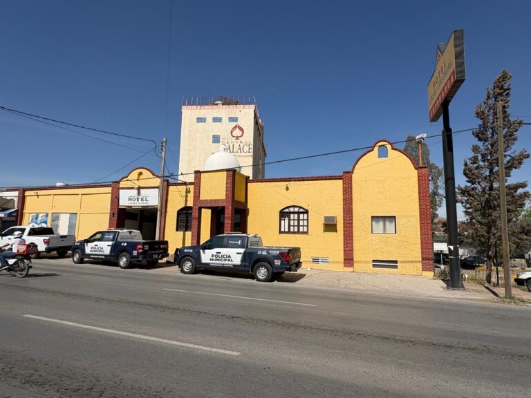 51527ff1-20ba-43fd-842e-b15b0e403248