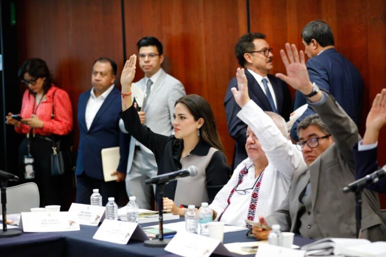 558aab5d-86da-4210-a342-a21eee455f8d