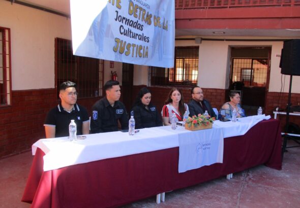 58bb3baf-0794-4dc8-9bb8-a910ecde444e