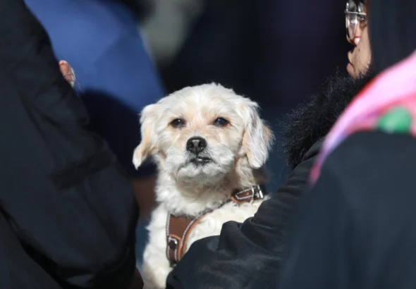 645457230_1609431327216699_676513892859147617_n