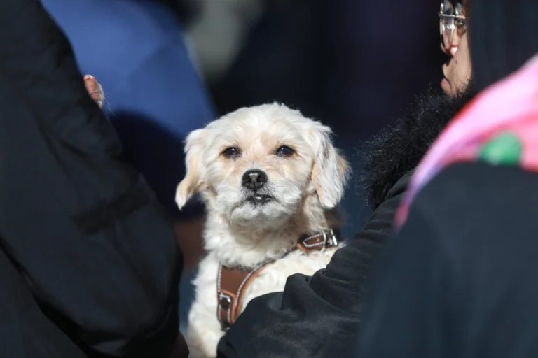 645457230_1609431327216699_676513892859147617_n