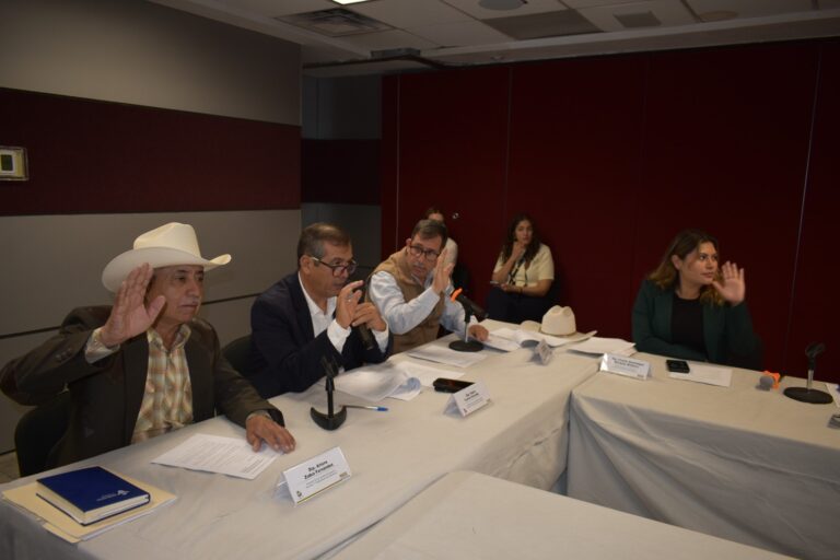 6611cdaa-cf3e-4132-96ba-a7ede913a7cc