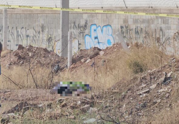 6ccf2f8e-55f7-47b7-a718-573eeca56bf0