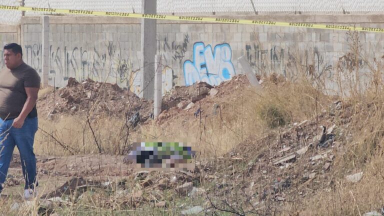 6ccf2f8e-55f7-47b7-a718-573eeca56bf0