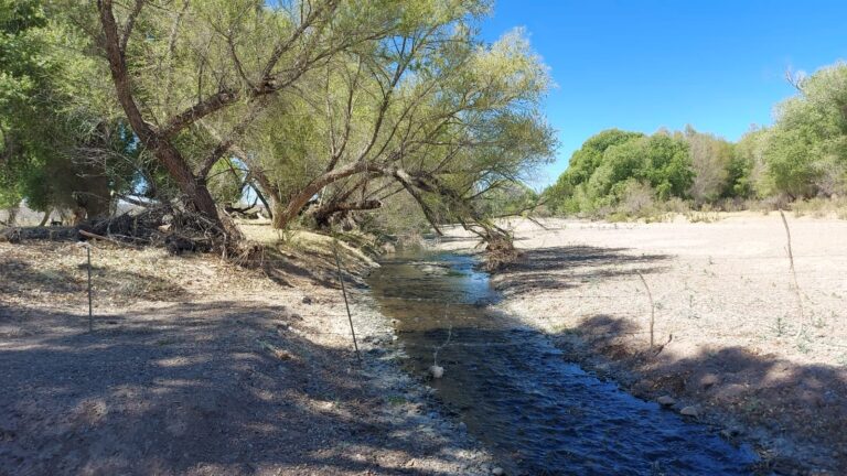 72746a1d-8018-4a7c-8dcf-4219952aa102