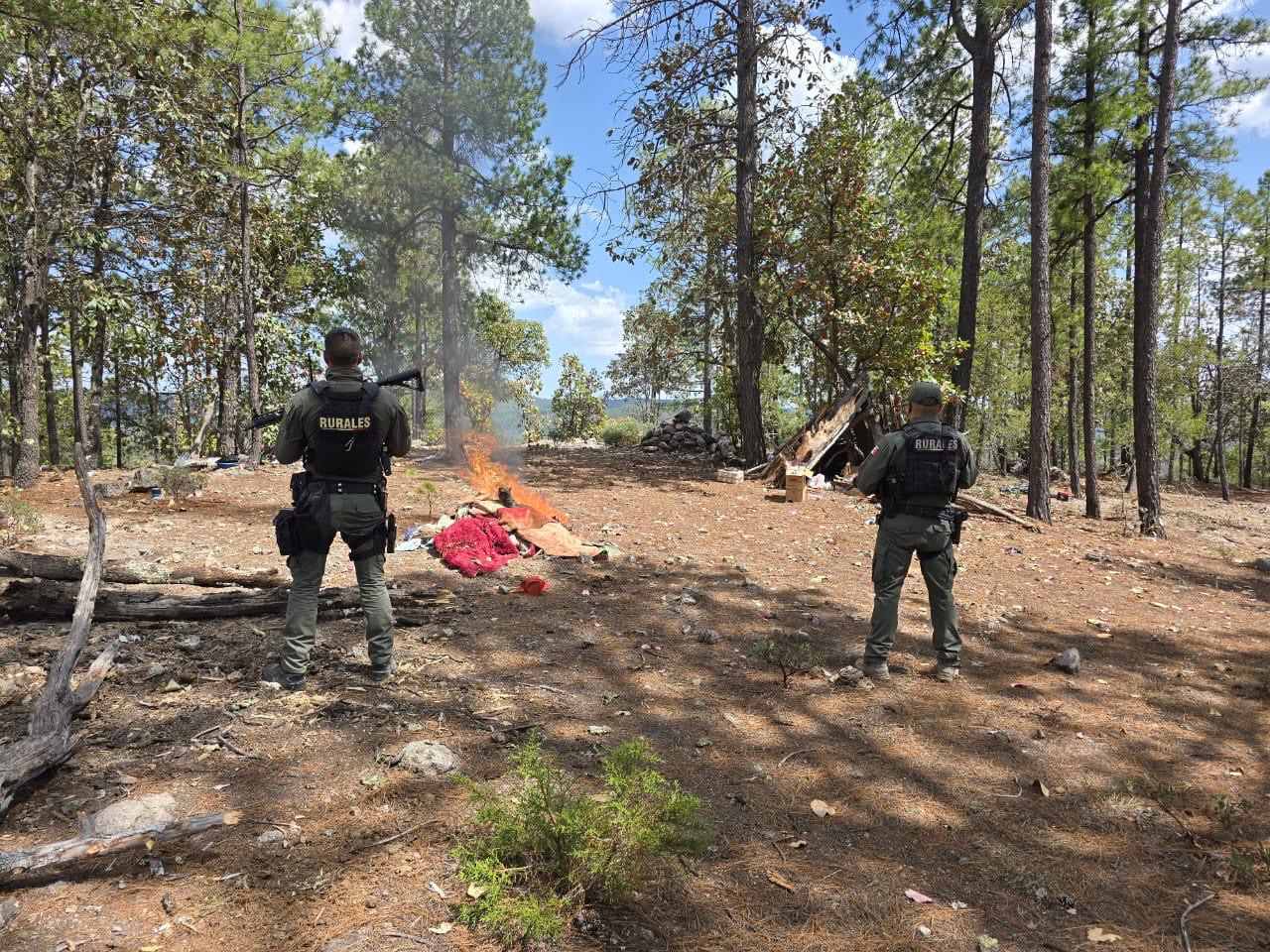 7d40d6e2-b89a-46cc-bee7-f0ec72fb98a1