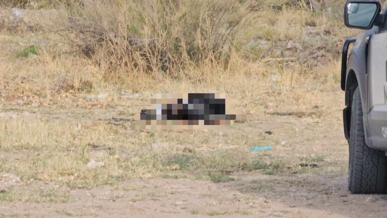 8a366724-53f0-421f-9a4b-161e8df5162a