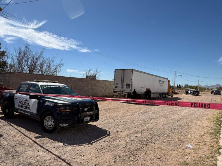 WhatsApp Image 2026-03-14 at 12.16.42 PM