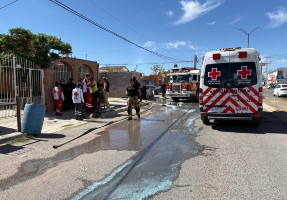 WhatsApp Image 2026-03-14 at 12.46.55 PM