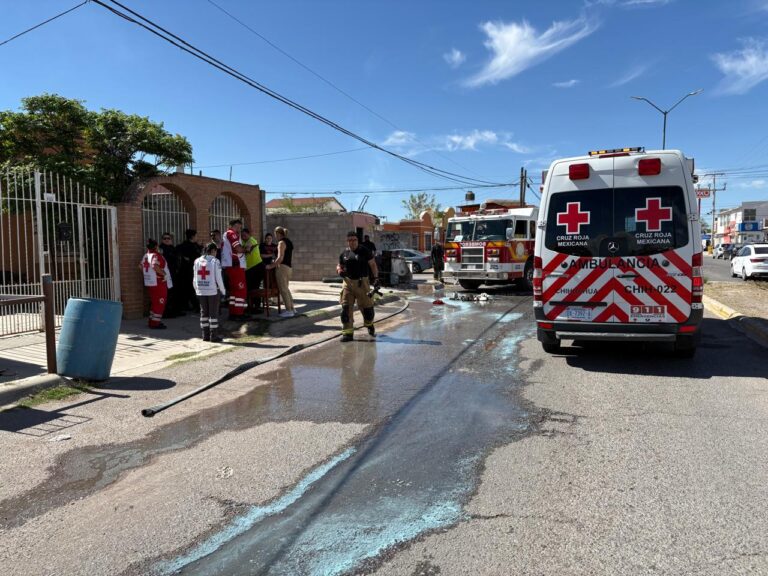 WhatsApp Image 2026-03-14 at 12.46.55 PM