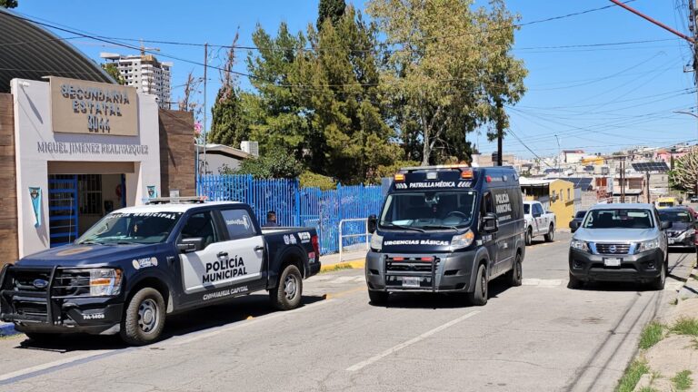 d2ce8d43-dada-4a74-adfb-5b6eca2b9537