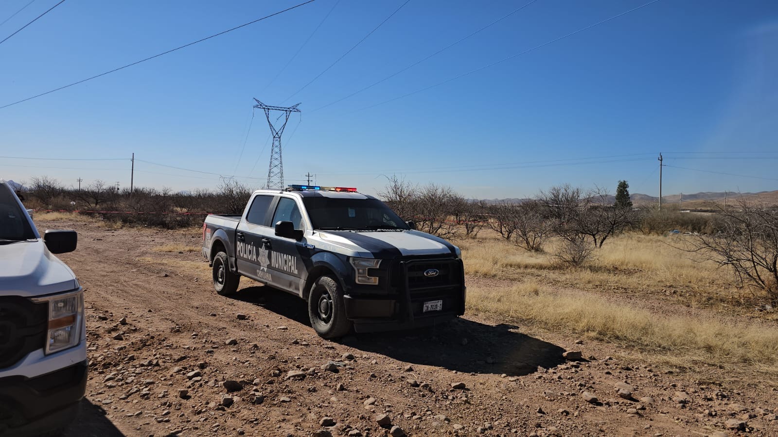 dc3facd9-dd90-4091-a307-f0425988443d