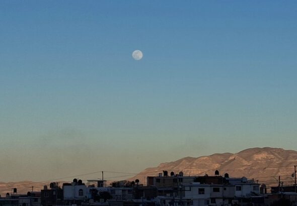 fd1937cb-c688-4639-90d4-38e547f7a231