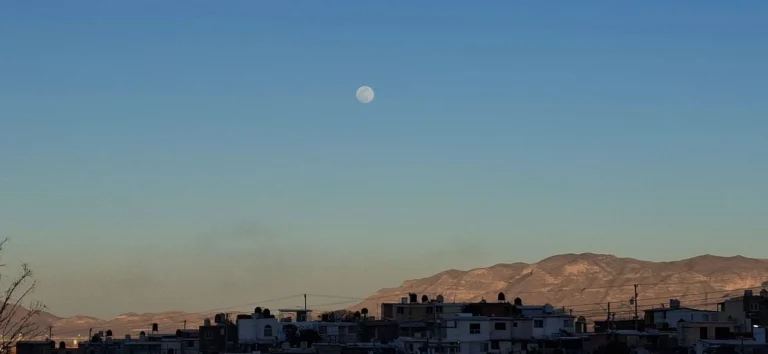 fd1937cb-c688-4639-90d4-38e547f7a231