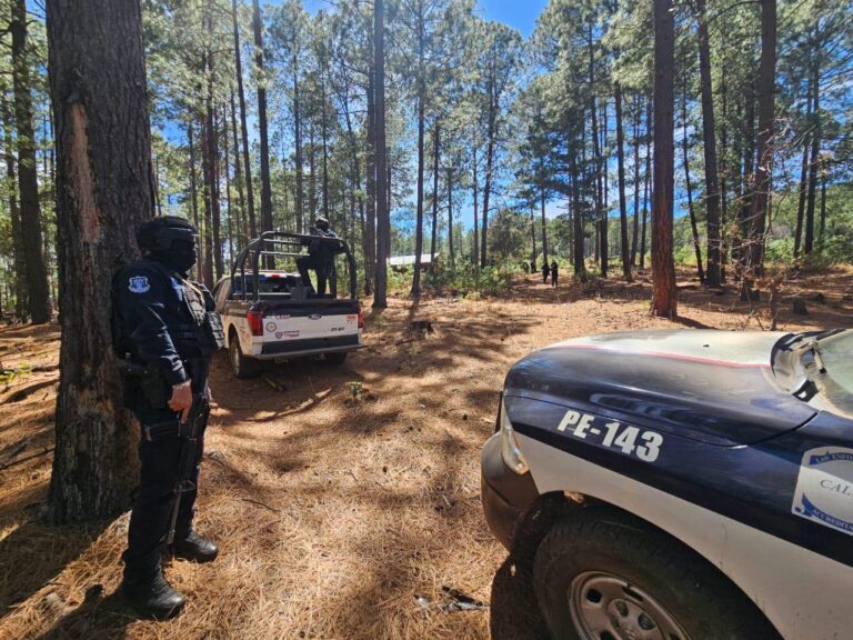 fe59fcbd-eaf3-42e9-977d-22eeed12aeb8