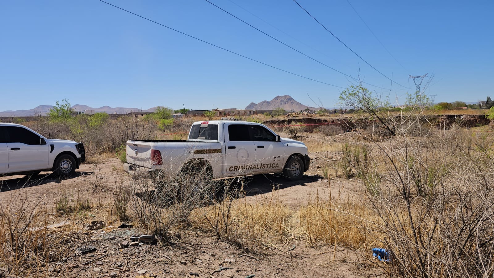 fec33f4e-a796-4cde-827c-5630c3977921