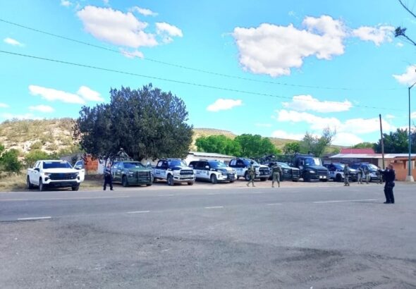 0055cd00-50a4-4ded-9f25-3c5477d14381