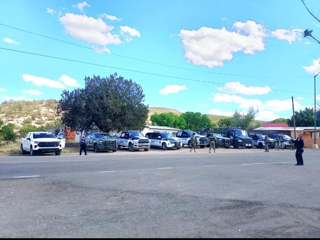 0055cd00-50a4-4ded-9f25-3c5477d14381