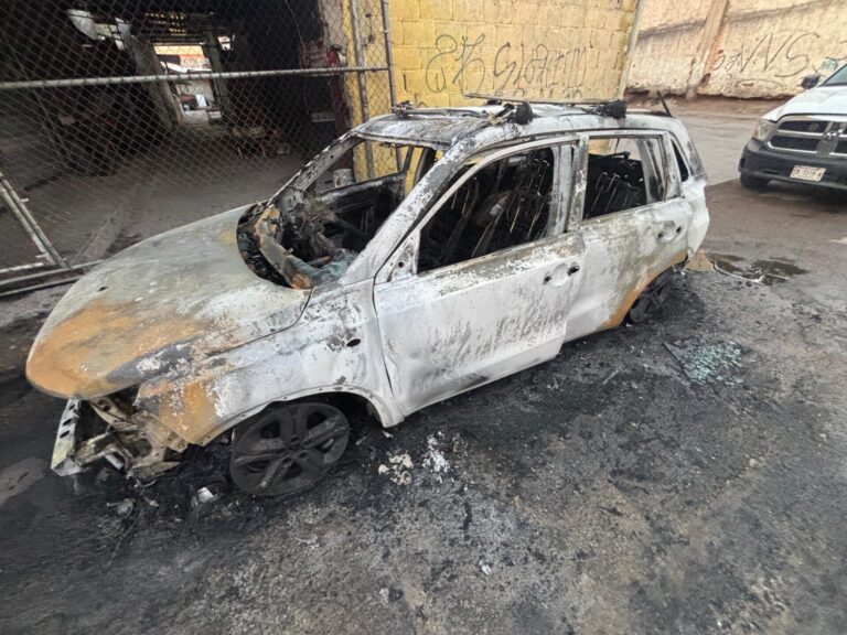 0ca02e7d-f641-4a88-9f83-3eae14a2e8f9