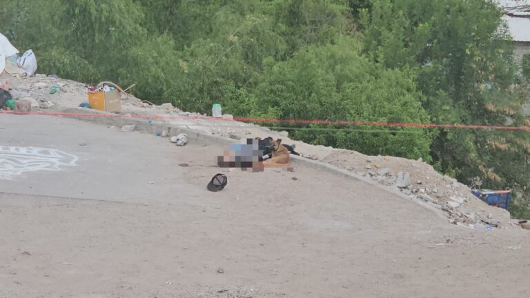 26184617-503a-4b7d-b6b1-85db631c9260