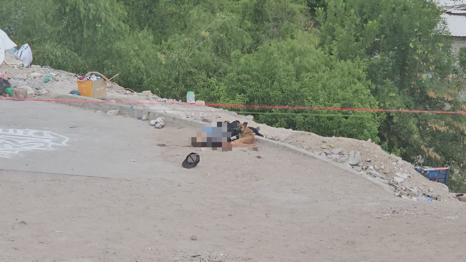 26184617-503a-4b7d-b6b1-85db631c9260