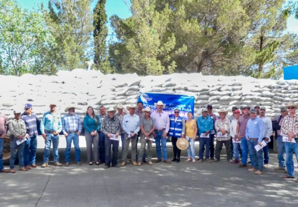 51dd6dd3-dc09-49cd-a99b-56a18fbc2f17