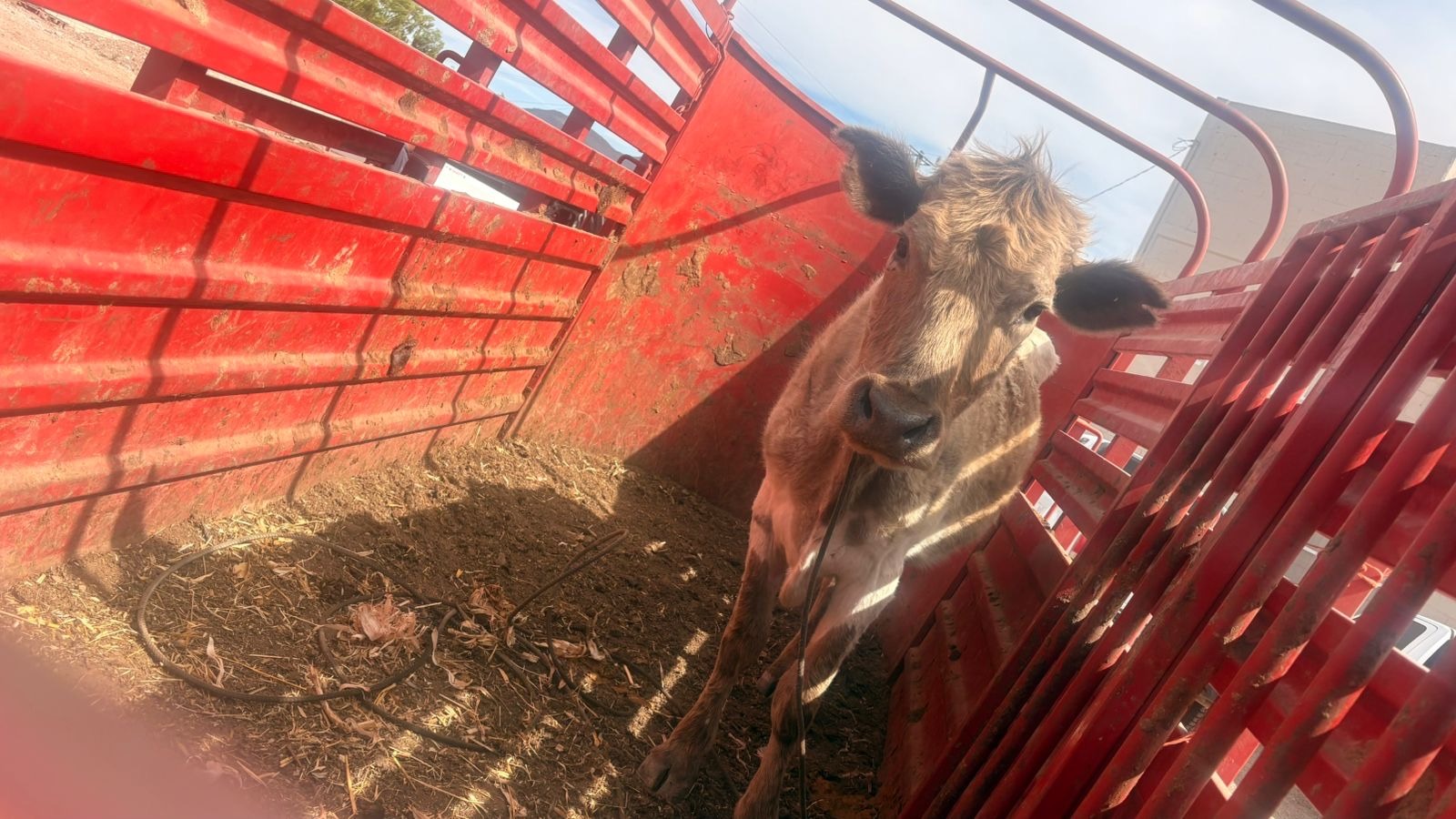 51fda3cc-058a-4d99-9ff1-07476fcf3083