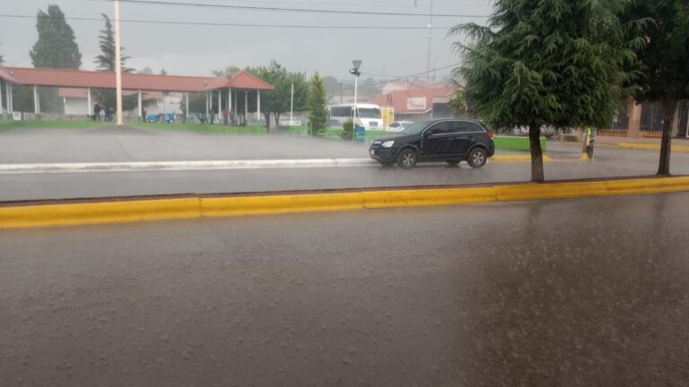 62bc4ba5-8fd4-414c-b9da-913d9d3f9540