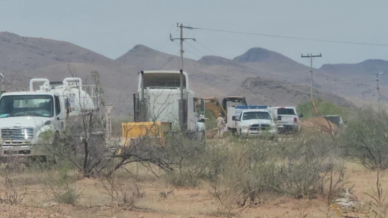 73885506-d32e-4752-a5f3-f1b4bb014c55