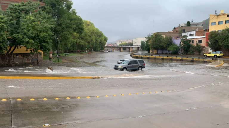 8616ea10-9d42-48ca-b2b3-2761692c3e4b