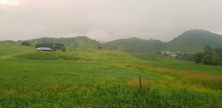 91db70fc-4dee-4d1f-ada0-93427a2246b9