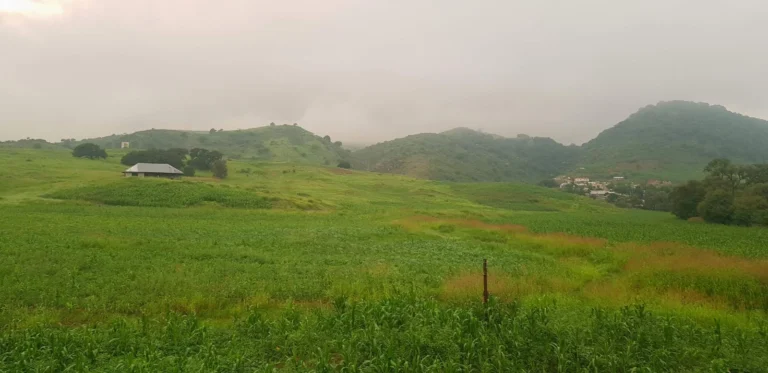 91db70fc-4dee-4d1f-ada0-93427a2246b9