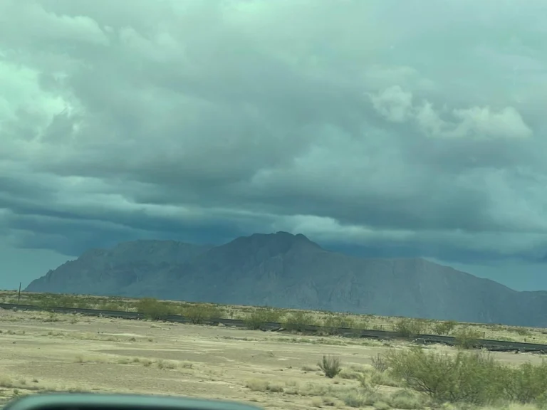 953513de-8423-4738-bc60-c406c405c8df