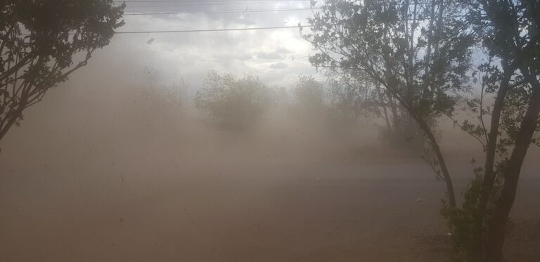 9cd5e57c-4861-4d92-98bc-61c0c098ee91