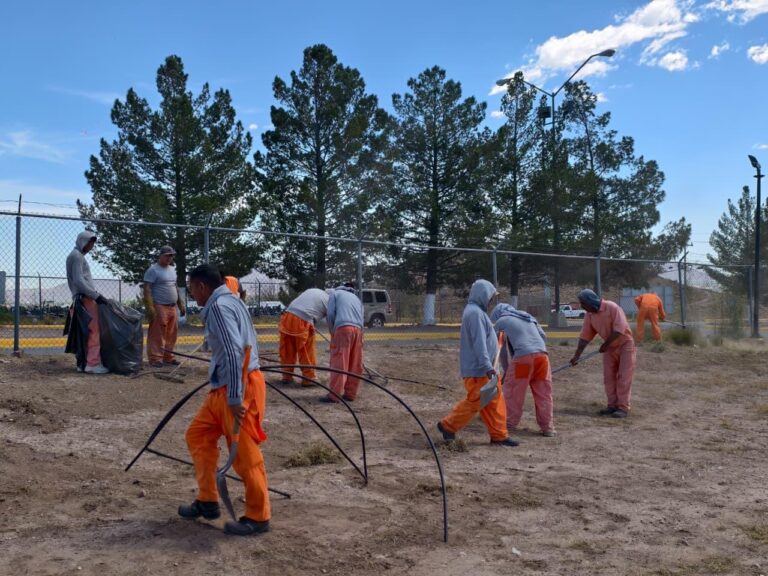 ac453194-792e-4ac8-bca3-7126d4180a26