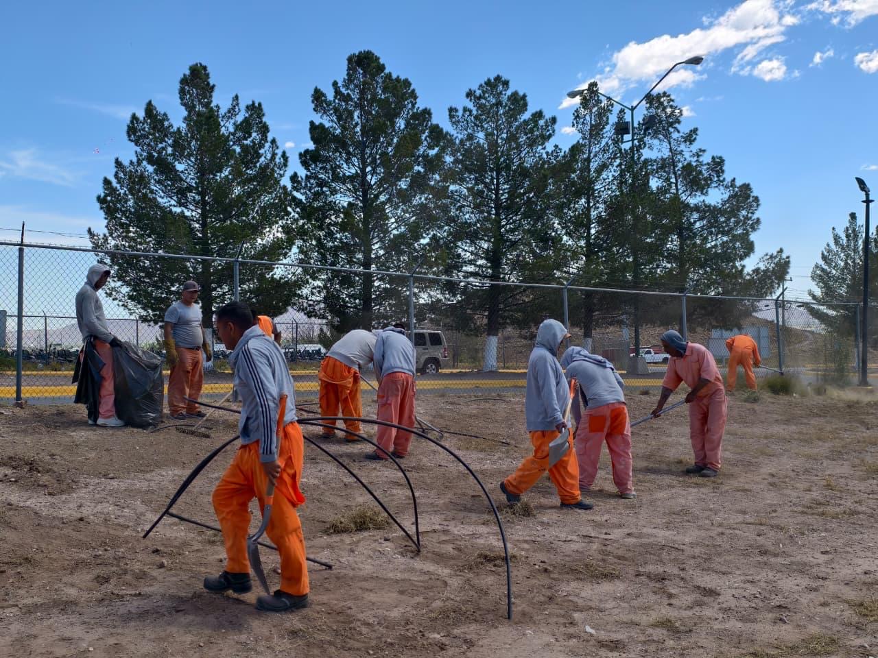 ac453194-792e-4ac8-bca3-7126d4180a26